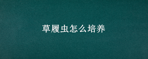 草履虫怎么培养 草履虫怎么培养液发酵了