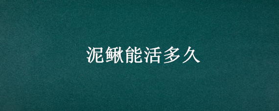 泥鳅能活多久（黄金泥鳅能活多久）