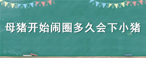 母猪开始闹圈多久会下小猪（母猪闹圈要闹几天呀）