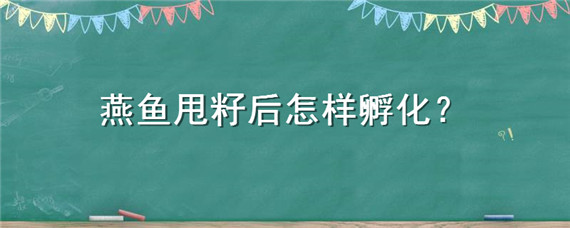 燕鱼甩籽后怎样孵化 燕鱼甩籽后怎样孵化氧气太足出鱼丢出残鱼吗?