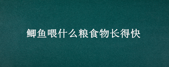 鲫鱼喂什么粮食物长得快（鲫鱼可以吃什么粮食）