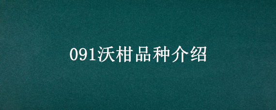 091沃柑品种介绍（091无核沃柑品种介绍）