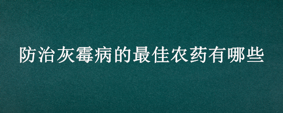 防治灰霉病的最佳农药有哪些 灰霉病用什么农药最好