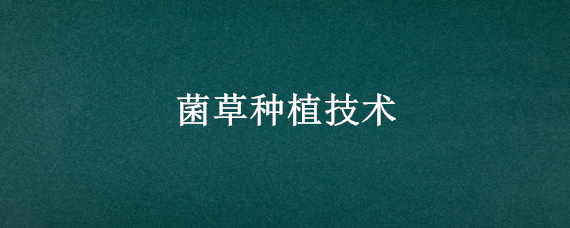 菌草种植技术 菌草种植技术牧春亩产50吨