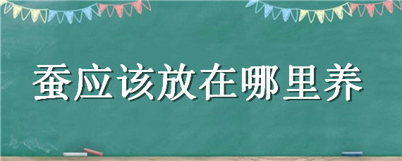 蚕应该放在哪里养（养蚕在哪里养）