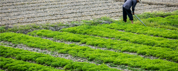 耕地非农化指什么 什么叫耕地非农化