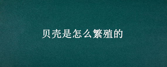 贝壳是怎么繁殖的 贝壳是怎么繁殖的视频