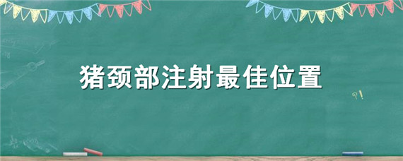 猪颈部注射最佳位置 猪颈部肌肉注射位置