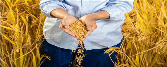 新型职业农民的特征 新型职业农民的特征不包括