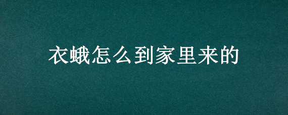 衣蛾怎么到家里来的 家里衣蛾