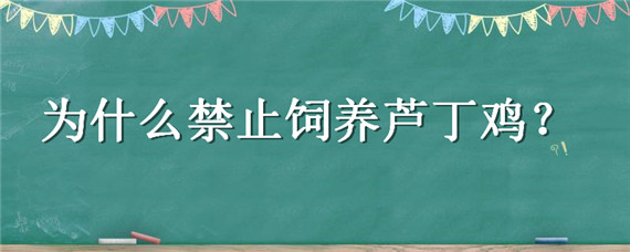 为什么禁止饲养芦丁鸡 千万不要养芦丁鸡