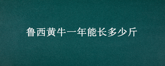 鲁西黄牛一年能长多少斤（黄牛一年可以长多少斤）