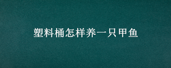 塑料桶怎样养一只甲鱼（水桶养甲鱼）