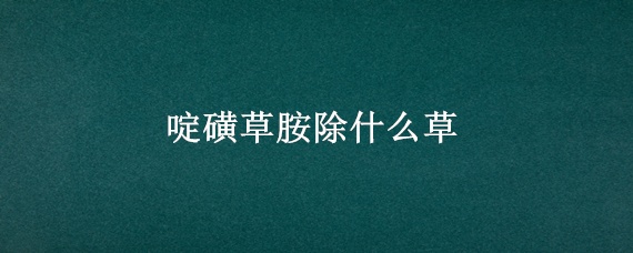 啶磺草胺除什么草（啶磺草胺除什么草效果好）