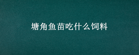 塘角鱼苗吃什么饲料（塘角鱼幼苗应喂什么饲料）