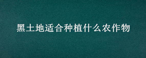 黑土地适合种植什么农作物 适合黑土地生长的农作物