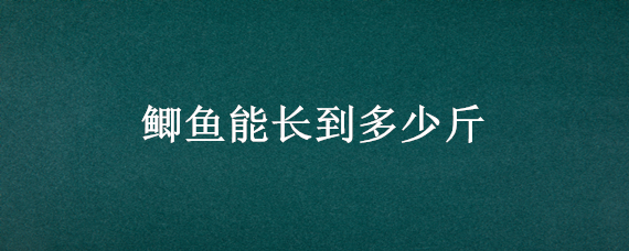 鲫鱼能长到多少斤 养殖鲫鱼一年能长多少斤