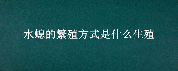 水螅的繁殖方式是什么生殖 水螅主要通过什么方式繁殖?