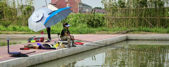 鱼塘死鱼用什么消毒（鱼缸死鱼用什么消毒）