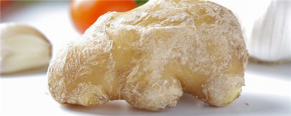 种生姜开沟多深才好(生姜浅沟种植好还是深沟种植好)