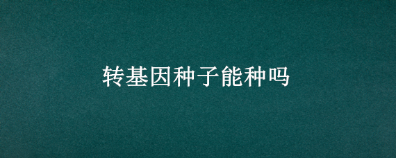 转基因种子能种吗 转基因作物有种子吗