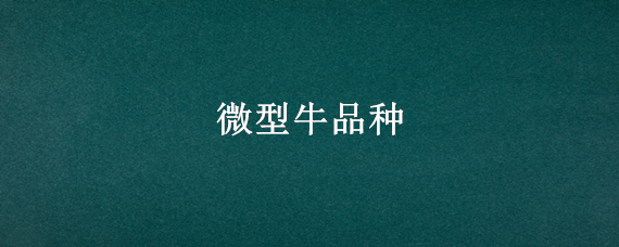 微型牛品种（牛常见品种）