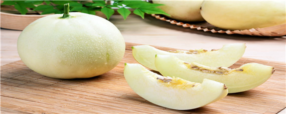 甜瓜用什么肥料更甜（西瓜用什么肥料）