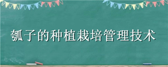 瓠子的种植栽培管理技术（瓠子的种植栽培管理技术视频）