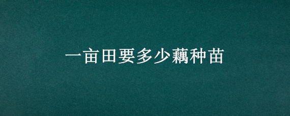 一亩田要多少藕种苗（莲藕种苗多少斤一亩田）