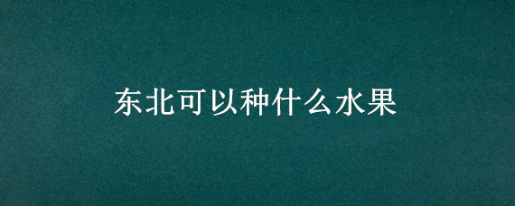 东北可以种什么水果（东北果园能种什么水果）