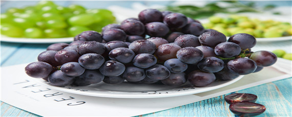 夏黑葡萄种植技术与管理 夏黑葡萄种植栽培技术