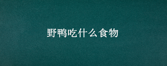 野鸭吃什么食物 刚出生的野鸭吃什么食物