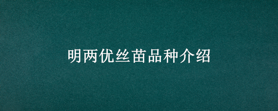 明两优丝苗品种介绍（两优五山丝苗）