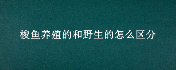 梭鱼养殖的和野生的怎么区分 梭鱼是鱼类吗