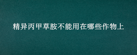 精异丙甲草胺不能用在哪些作物上 异丙甲草胺对作物有影响吗