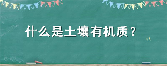 什么是土壤有机质 什么是土壤有机质的主体