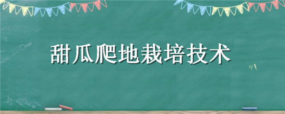 甜瓜爬地栽培技术 露天爬地甜瓜种植技术与管理