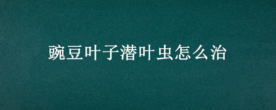 豌豆叶子潜叶虫怎么治(豌豆叶子里面有虫该打什么药)