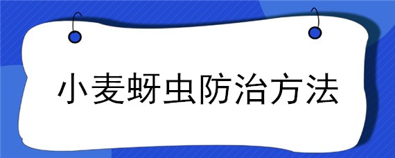 小麦蚜虫防治方法 小麦蚜虫生物防治