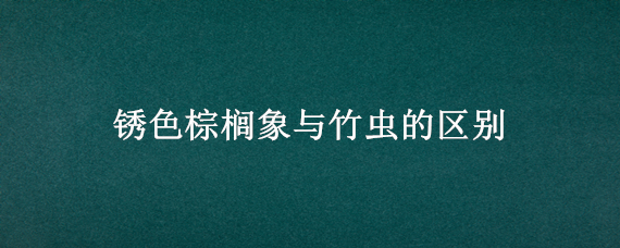 锈色棕榈象与竹虫的区别 棕象虫和竹象虫的差别