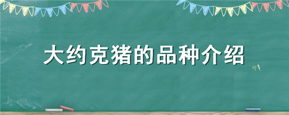 大约克猪的品种介绍 大约克种猪图片大全