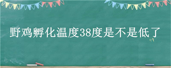 野鸡孵化温度38度是不是低了 孵化小鸡温度低于38度