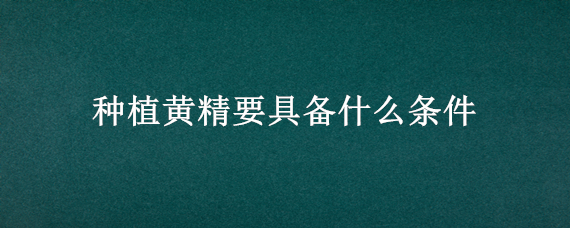 种植黄精要具备什么条件 黄精种植注意事项