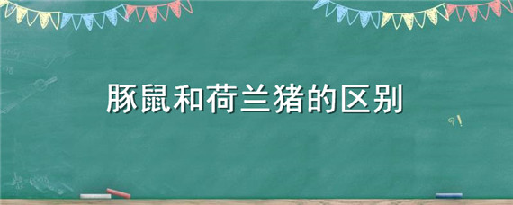 豚鼠和荷兰猪的区别（豚鼠就是荷兰猪吗?）