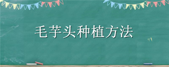 毛芋头种植方法 毛芋头种植时间和方法和套种