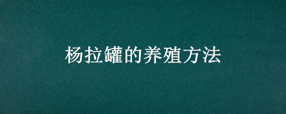 杨拉罐的养殖方法（杨拉罐如何养殖）