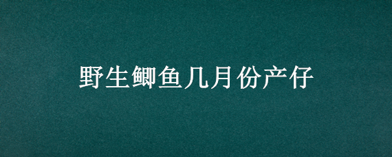 野生鲫鱼几月份产仔（野生鲫鱼几月份产卵）