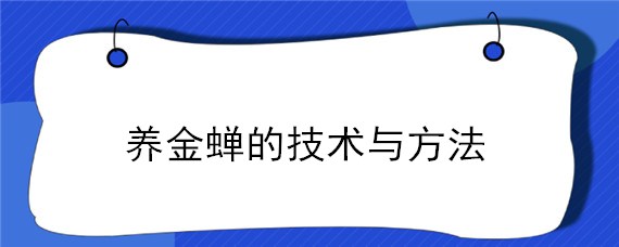 养金蝉的技术与方法 金蝉养殖技术方法