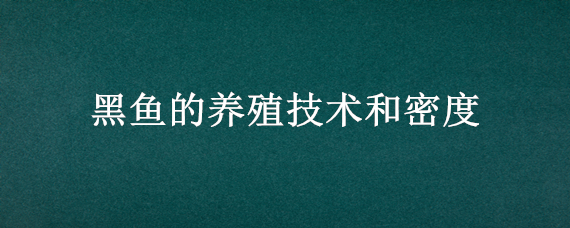 黑鱼的养殖技术和密度（黑鱼高密度养殖注意什么）