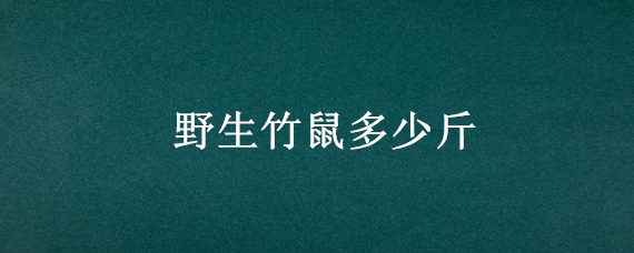 野生竹鼠多少斤（一般野生竹鼠多少斤重）